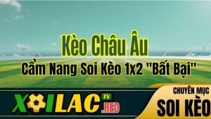 Kèo Châu Âu Là Gì? Cẩm Nang Soi Kèo 1x2 "Bất Bại" Từ Chuyên Gia Xoilac TV