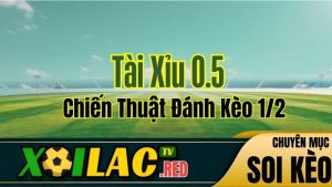 Tài Xỉu 0.5 Là Gì? Chiến Thuật Đánh Kèo 1/2 Từ Chuyên Gia Xoilac