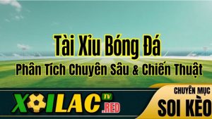 tai-xiu-bong-da-toan-tap-phan-tich-chuyen-sau-tu-xoilac
